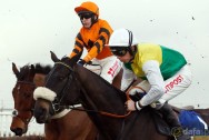 Many-Clouds-2015-Grand-National-winner