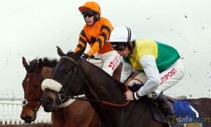 Many-Clouds-2015-Grand-National-winner