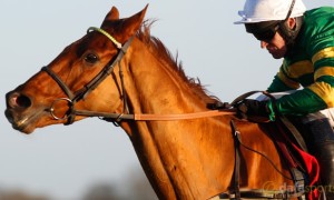 Yanworth-Horse-Racing