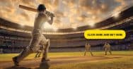 Cricket Leagues