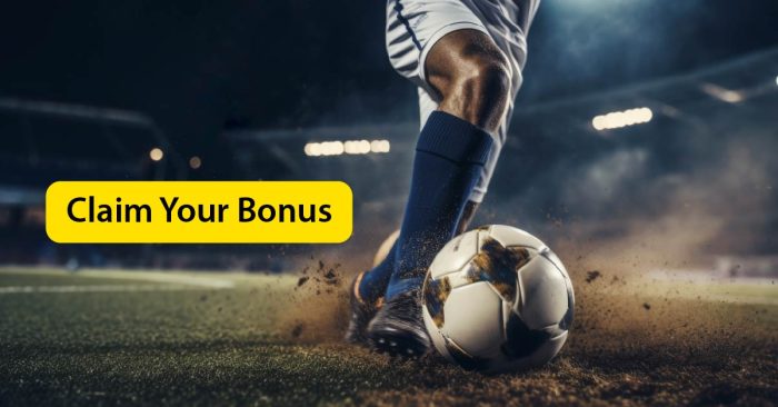 INR 480 To INR 28,828 Football Win